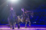 Internationale Pferdeshow Royal Horse Gala in Rostock