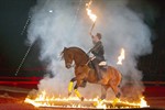 The Royal Horse Gala am 21.01.2012 in der Stadhalle Rostock