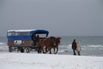 Kutschfahrt am winterlichen Strand von Warnemünde