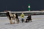 Pferdeschlitten in Warnemünde