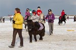 Ponyreiten 2012 in Warnemünde