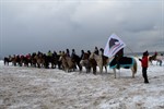 Reiter beim 3. Warnemünder Wintervergnügen