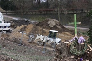 Rostocker trauern um gefällte Bäume am Platz