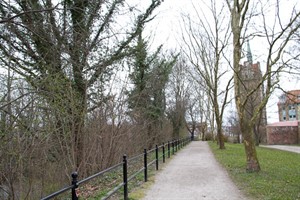 Links versperrt Wildwuchs den Blick von der Promenade auf die Teufelskuhle