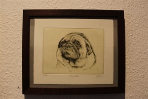 "Mops" von Walter Herzog