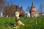 Ostern 2012 in Rostock und Warnemünde