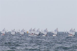 130 Optimisten segelten am Samstag beim Intercup Warnemuende