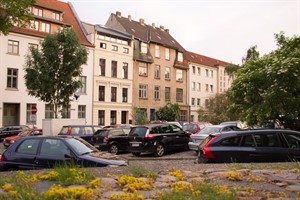 Wildes Parken am Wendländer Schilde