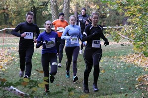 Der 7. Crosstock Teamcross im Barnstorfer Wald