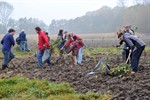 Bäumepflanzen in der Rostocker Heide