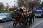 Mit der Kutsche ging es zum Weihnachtsmarkt