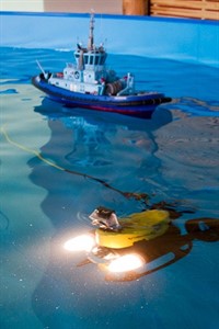 Modelle für die Erforschung maritimer Steuerungssysteme