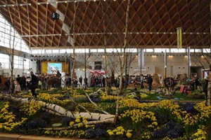 Ostseemesse mit Blumenschau