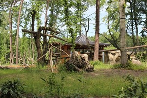 Darwineum im Zoo Rostock: Außenanlage für die Orang Utans