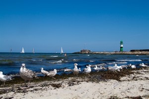 Am Strand von Warnemünde ist es nicht ungefährlich zu nah an der Mole zu baden