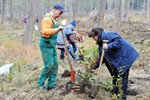 Hundeauslaufzone und 3.Baumpflanzaktion in der Rostocker Heide