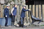 Marine verlängert Patenschaft mit Seebären im Rostocker Zoo