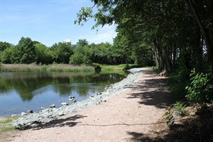 Der Mühlenteich in Evershagen nach der Sanierung