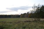 Rostocker Waldtag - Holz und Mee(h)r in der Rostocker Heide