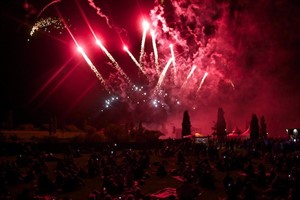 Pyro Games 2014 im IGA-Park