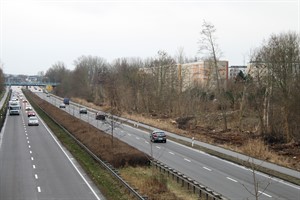 Durchforstung an der Stadtautobahn, Höhe Evershagen