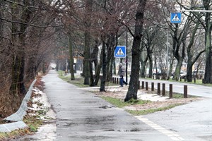 Ein schmaler Streifen des Küstenschutzwaldes müsste für einen regelkonformen Rad- und Fußweg in der Warnemünder Parkstraße geopfert werden