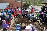 Winterlinde - Baum des Jahres im Zoo Rostock gepflanzt