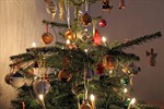 Weihnachtsbaum-Entsorgung vom 2. bis 27. Januar 2017