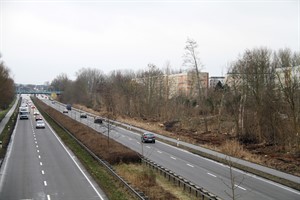 Nach dem Kahlschlag an der Stadtautobahn Höhe Evershagen kommen zwischen Straßenbahn- und S-Bahnhof-Fußgängerbrücke 268 Jungbäume als Windschutzpflanzung in den Boden (Foto: Archiv)