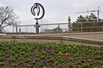 Saisonblumenbepflanzung in Warnemünde gestartet