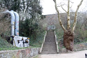 So sah es noch vor einiger Zeit an der Heubastion aus. Das Gehölz wurde bereits entfernt (Foto: Archiv)