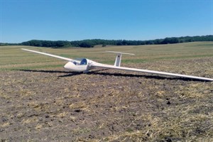 Segelflugzeug landet auf Acker nahe der A19 (Foto: Polizei)