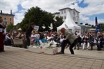 Mit den weißen Tauben will die Evangelische Gemeinde Warnemünde ein Friedenszeichen setzen.