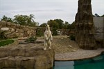 Polarium im Zoo Rostock eröffnet