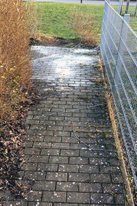 Gefährliche Falle - Drahtseil über Fußweg gespannt (Foto: Polizeiinspektion Rostock)