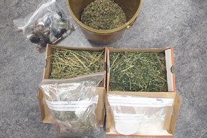 Cannabis und Amphetamine bei Durchsuchungen sichergestellt (Foto: Polizeiinspektion Rostock)