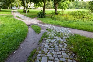 Kringelgrabenpark in der Südstadt erhält neue Wege (Foto: Amt für Stadtgrün, Naturschutz und Landschaftspflege)