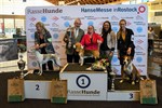 Rassehundeausstellung 2019 in Rostock-Schmarl beendet