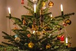 Weihnachtsbaum-Entsorgung erfolgt ab 6. Januar 2020