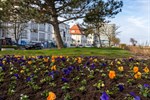 Frühjahrsbepflanzung in Warnemünde