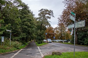 Der Radweg in der Parkstraße am Küstenwald Warnemünde beschäftigt erneut den Ortsbeirat (Foto: Archiv)