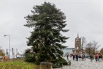 Weihnachtsbaum ohne Weihnachtsmarkt