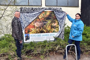 Das Siegerfoto 2020 ist enthüllt und am Zwergflusspferdhaus zu finden, hier mit Zookuratorin Antje Angeli und Preisträger Lothar (Foto: Zoo Rostock/Joachim Kloock)