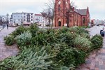 Weihnachtsbaum-Entsorgung beginnt am 2. Januar 2023