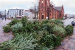 Weihnachtsbaum-Entsorgung 2025 in Rostock – Termine im Überblick