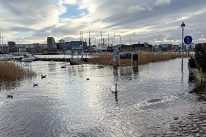 Schwan statt Fußgängern und Radfahrern - leichtes Hochwasser in Gehlsdorf